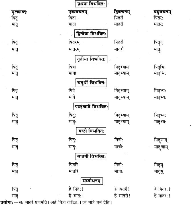 NCERT Solutions for Class 9th Sanskrit Chapter 5 अजन्तशब्दा ...