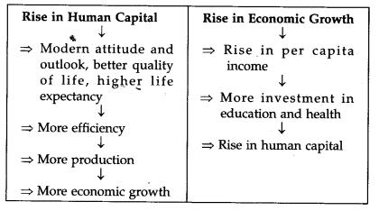 Human Capital Formation In India Ncert Solutions For Class 11 Indian Economic Development Learn Cbse