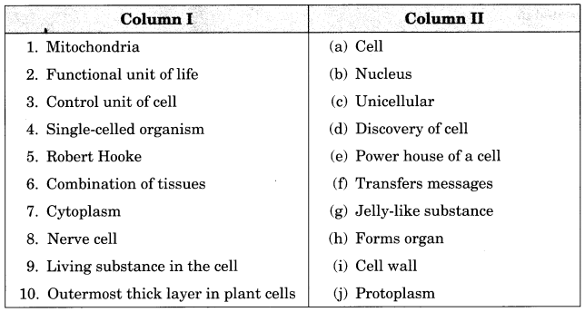 case study on cell structure and function class 8