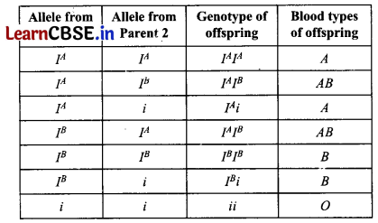 CBSE Class 12 Biology Question Paper (Delhi 2014) with Solutions 4